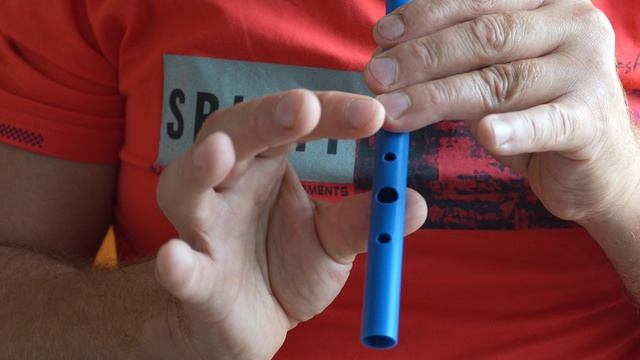 Tin Whistle D
