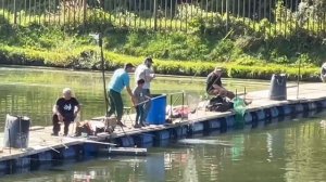 Карпуша с переходного