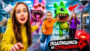 НИКОГДА НЕ ОБОРАЧИВАЙСЯ К АНОМАЛИЯМ НОЧЬЮ - ANIMAL HOSPITAL