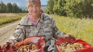 За грибами // я даже не ожидала 🙋