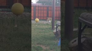 PYOW2844_21.08.2026_Видео от Светланы