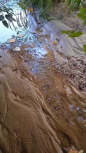 Вода чистая, как слезы