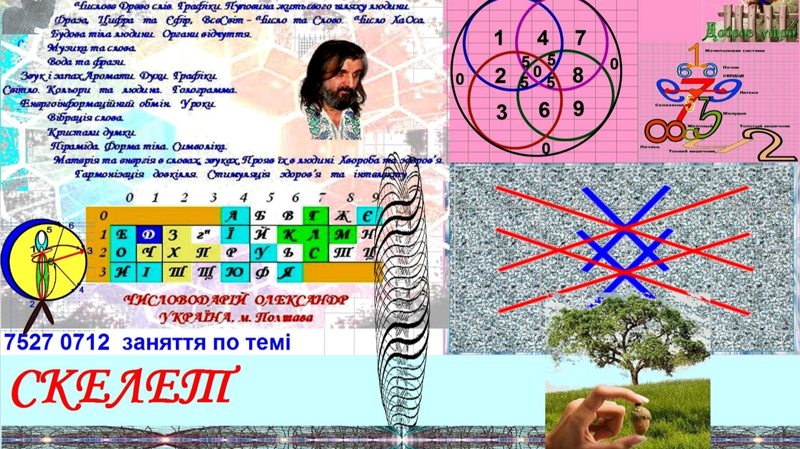 заняття 7527 0713 СКЕЛЕТ