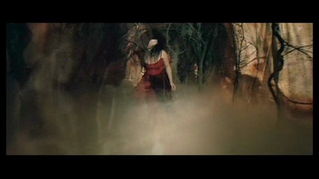 Evanescence - Sweet Sacrifice
