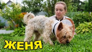 Такую Женю мы не видели давно! Закрываем сезон бассейна