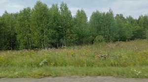 И пусть годы летят как птицы... Елена Карпук