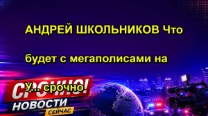 АНДРЕЙ ШКОЛЬНИКОВ Что будет с мегаполисами на У... срочно