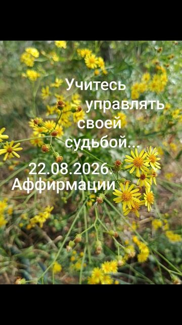 Девиз дня!✨🌈☀️22.08.2026. Учимся управлять своей судьбой!#мысли #слова #чувства #разум #душа #дела