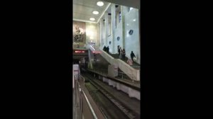 Станция метро Партизанская интерьер, пассажиры, поезда Синяя Москва Фрагмент 16