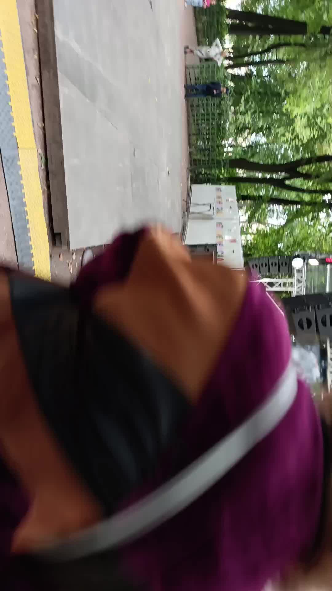 лето в летнем саду