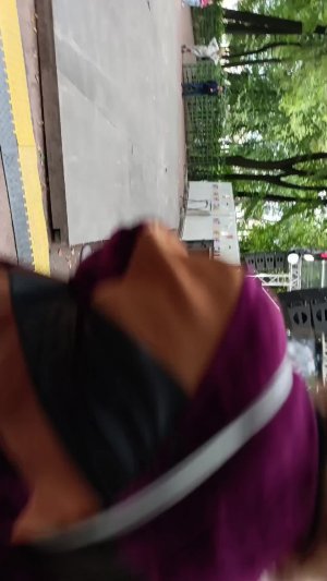 лето в летнем саду