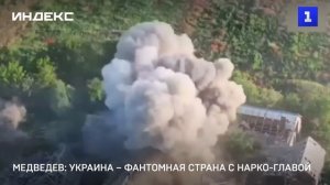 Медведев: Украина – фантомная страна с нарко-главой