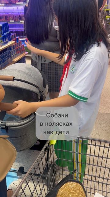 Реально в Китае собаки в колясках как дети