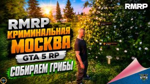 RMRP - КРИМИНАЛЬНАЯ МОСКВА. GTA 5 RP. СОБИРАЕМ ГРИБЫ