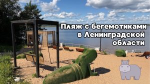 ПЛЯЖ С БЕГЕМОТИКАМИ В ЛЕНОБЛАСТИ. Усадьба Бильдерлингов и озеро Врево