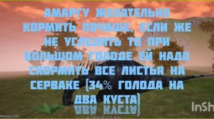 Амарга имба или г@вно???/TCDI/разбор травоядного 3-го тира