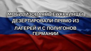 Мобилизованные украинцы дезертировали прямо из лагерей и с полигонов Германии