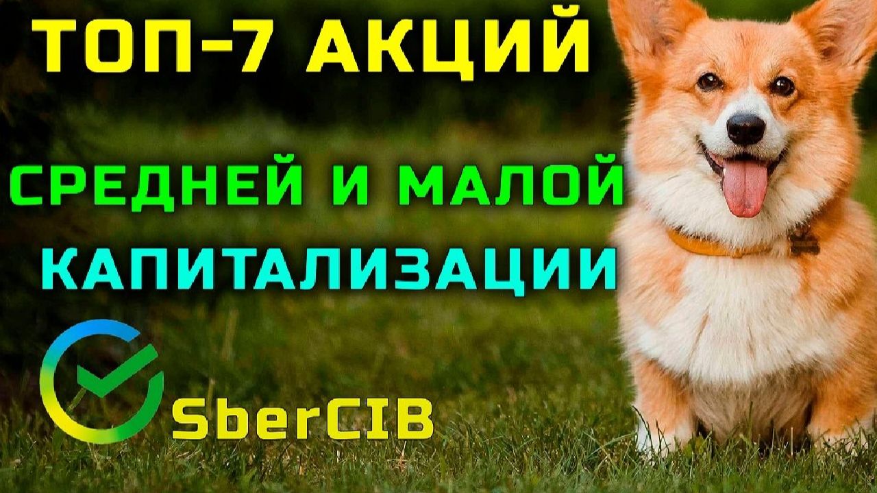 ⚡️Рост до 109% - Топ 7 акций от аналитиков Сбербанка - что из этого следует покупать?
