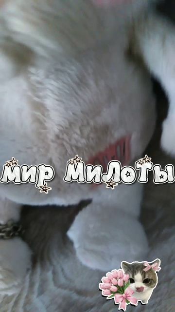 А вы думали что я уйду но нет хахаха это была шутка:D