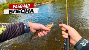 Эта БЛЕСНА ЛОВИТ всю рыбу, теперь ловлю только на нее