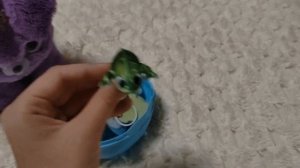 открываем с джусей секретную коробку!🎁
