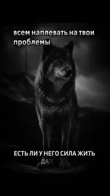 #shorts Психология отношений/ Мотивация/Мудрые Советы/ Цитаты/ Почему хорошие люди остаются одни