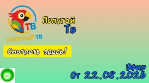 Попугай тв эфир от 22.08.2026