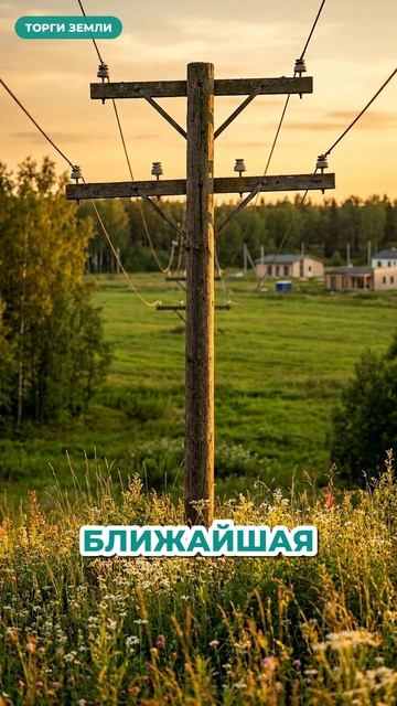 AI-аудит участка за 60 секунд — что внутри отчёта