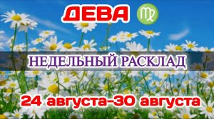 ДЕВА♍ Недельный расклад 24-30 АВГУСТА /Таро Прогноз/Сферы жизни