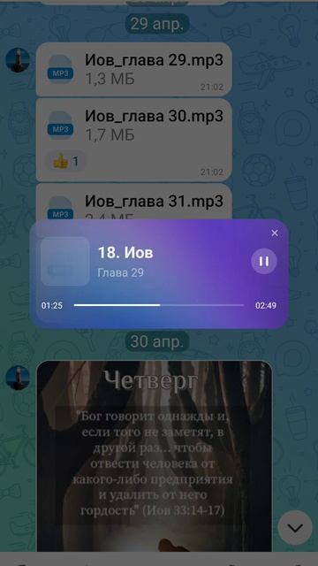 Книга Иова. 29 глава