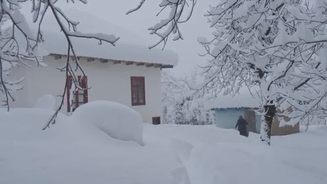 Женщина, живущая в одиночестве на краю света.