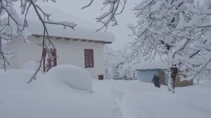 Женщина, живущая в одиночестве на краю света.