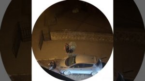 🇺🇦🔪 Во Львове Мыкола зарезал боевика ТЦК и кинулся на полицая на улице Бандеры🔽