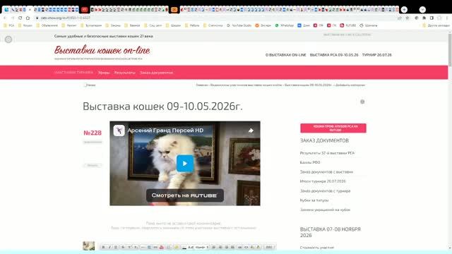 Котята питомника кошек ГРАНД ПЕРСЕЙ