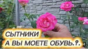 САМВЕЛ АДАМЯН, СЫТНИКИ, А ВЫ МОЕТЕ ОБУВЬ.?.