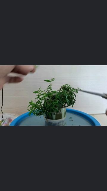 Мини каскад