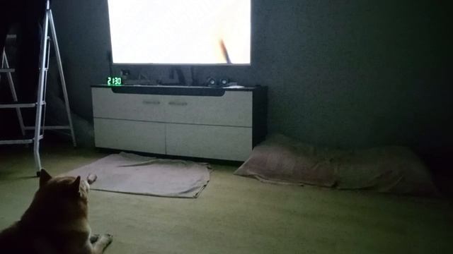 УЖАСНО ИНТЕРЕСНО ДЛЯ АСОБИ)