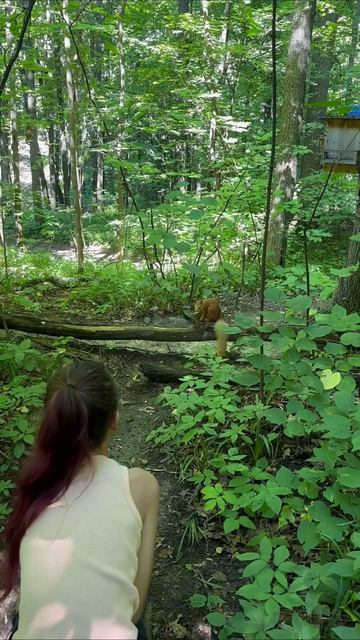 #взаимныеподписки #белка #белочка
#животные Ручная белка 🐿️ в Казани