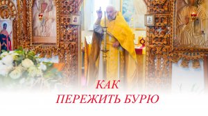 Как пережить бурю