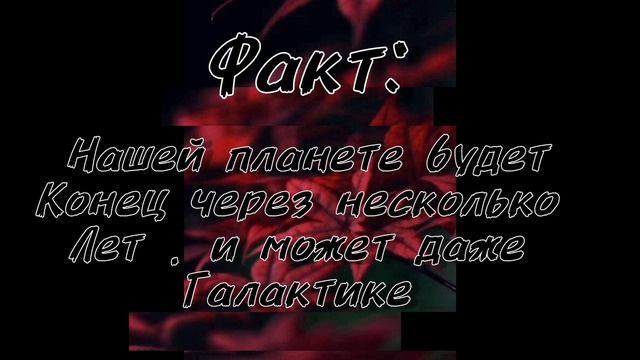 факт