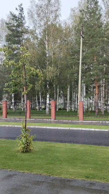 Просто дождь. Просто август.