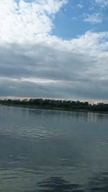 Приехали на речку.