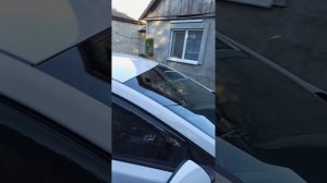 1000015845.mp4
