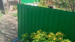 Отвлекаю себя от дурных мыслей/Собрали помидоры,перцы/