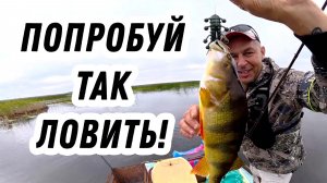 БАМ! САМАЯ ЗРЕЛИЩНАЯ РЫБАЛКА на спиннинг