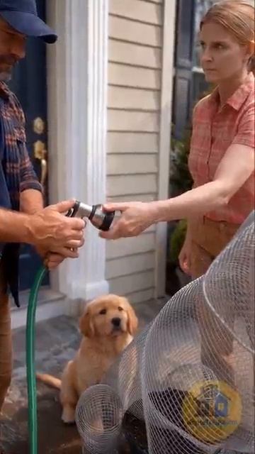 A Living Dog Sculpture That Holds a Lantern DIY Topiary get-save.com