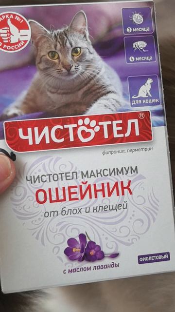 ошейник для Тишки
