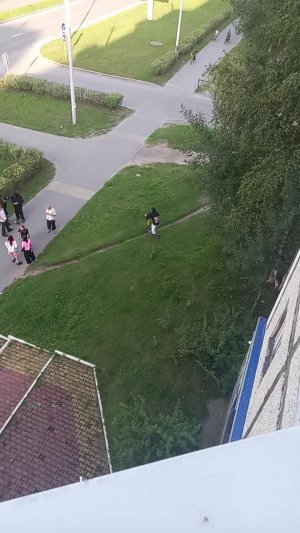 стримим лол