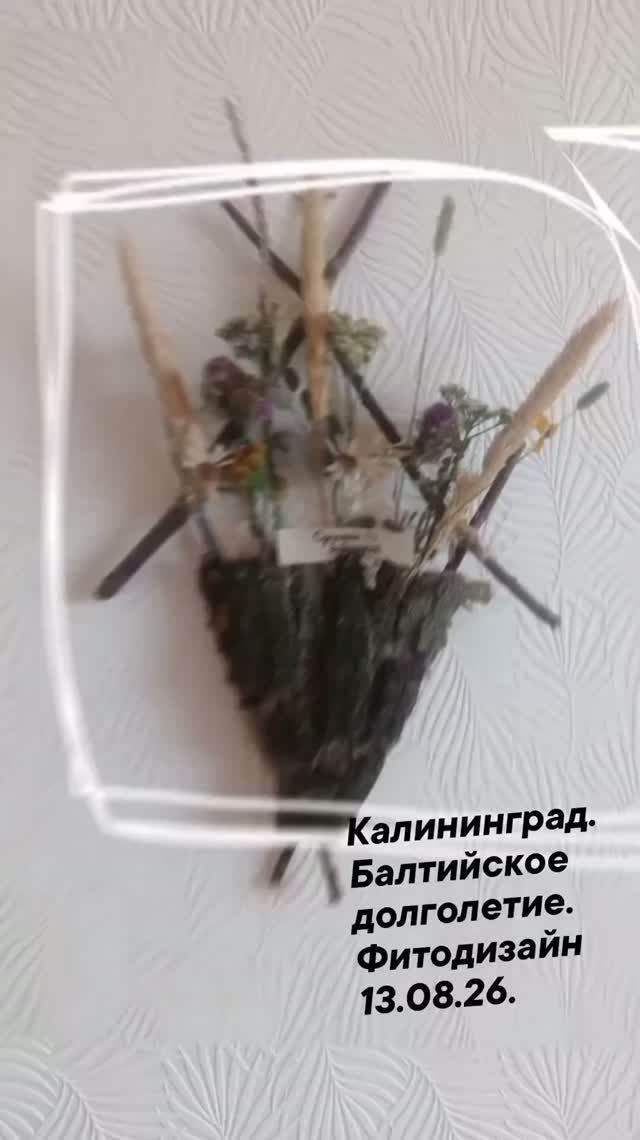 Калининград. Балтийское долголетие. Фитодизайн - кашпо с сухоцветами