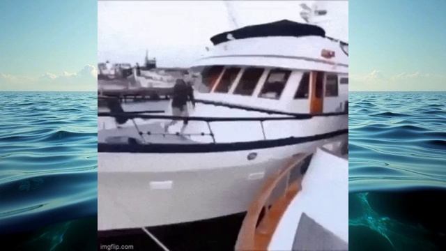 НУ ЕГО, ЭТО МОКРОЕ ДЕЛО